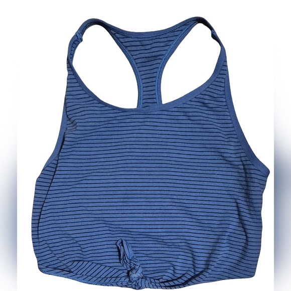 Aerie Blue Fitted Sleeveless Crop Top - Picture 1 of 4